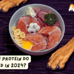 How Much Protein do Dogs Need in 2024