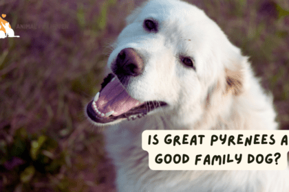 Is Great Pyrenees a good Family Dog