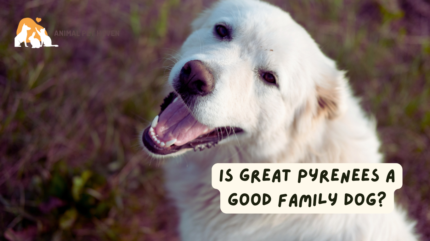 Is Great Pyrenees a good Family Dog