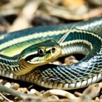 what do garter snakes eat