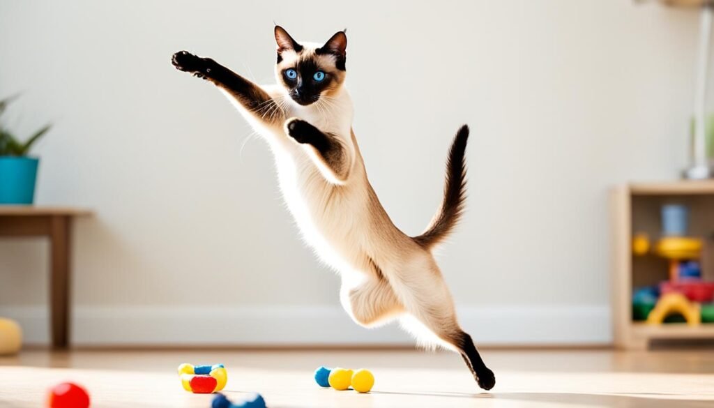 Siamese cat health